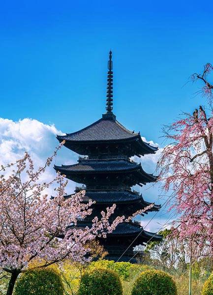 Tokyo, Japan – Final